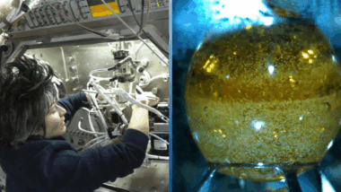 Joe A. Adam dévoile une avancée scientifique captivante lors du congrès ISSRDC 2025