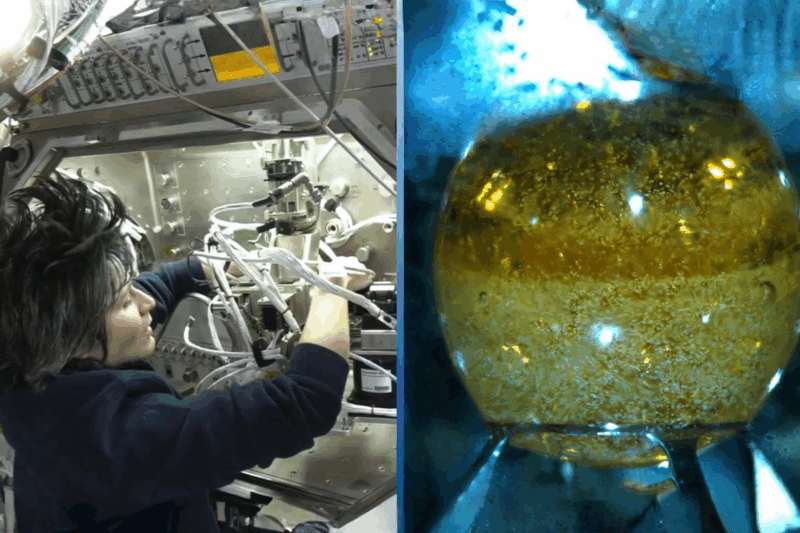 Joe A. Adam dévoile une avancée scientifique captivante lors du congrès ISSRDC 2025